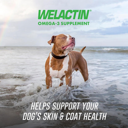 Nutramax Welactin Omega-3 Fish Oil Supplement for Dogs, Soft Chews, 60Ct