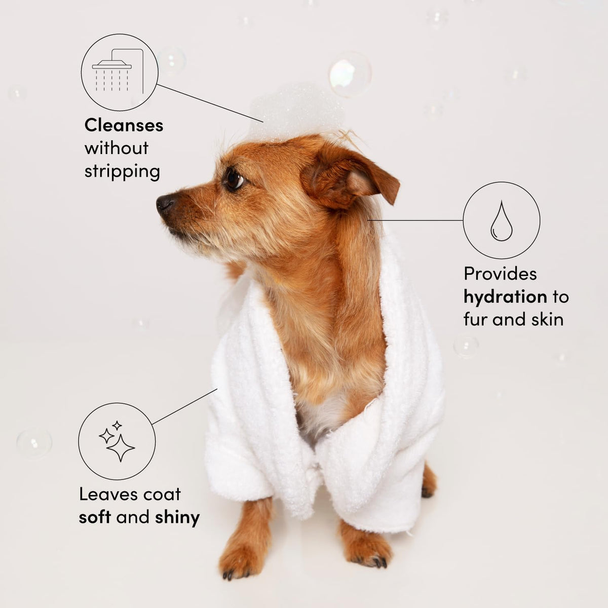 Fur Bébé Pet Shampoo - Mercer Street Scent (16 Fl Oz)