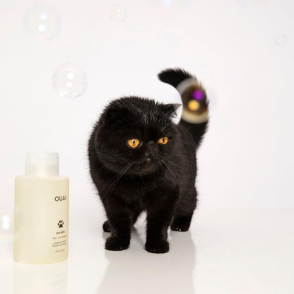 Fur Bébé Pet Shampoo - Mercer Street Scent (16 Fl Oz)