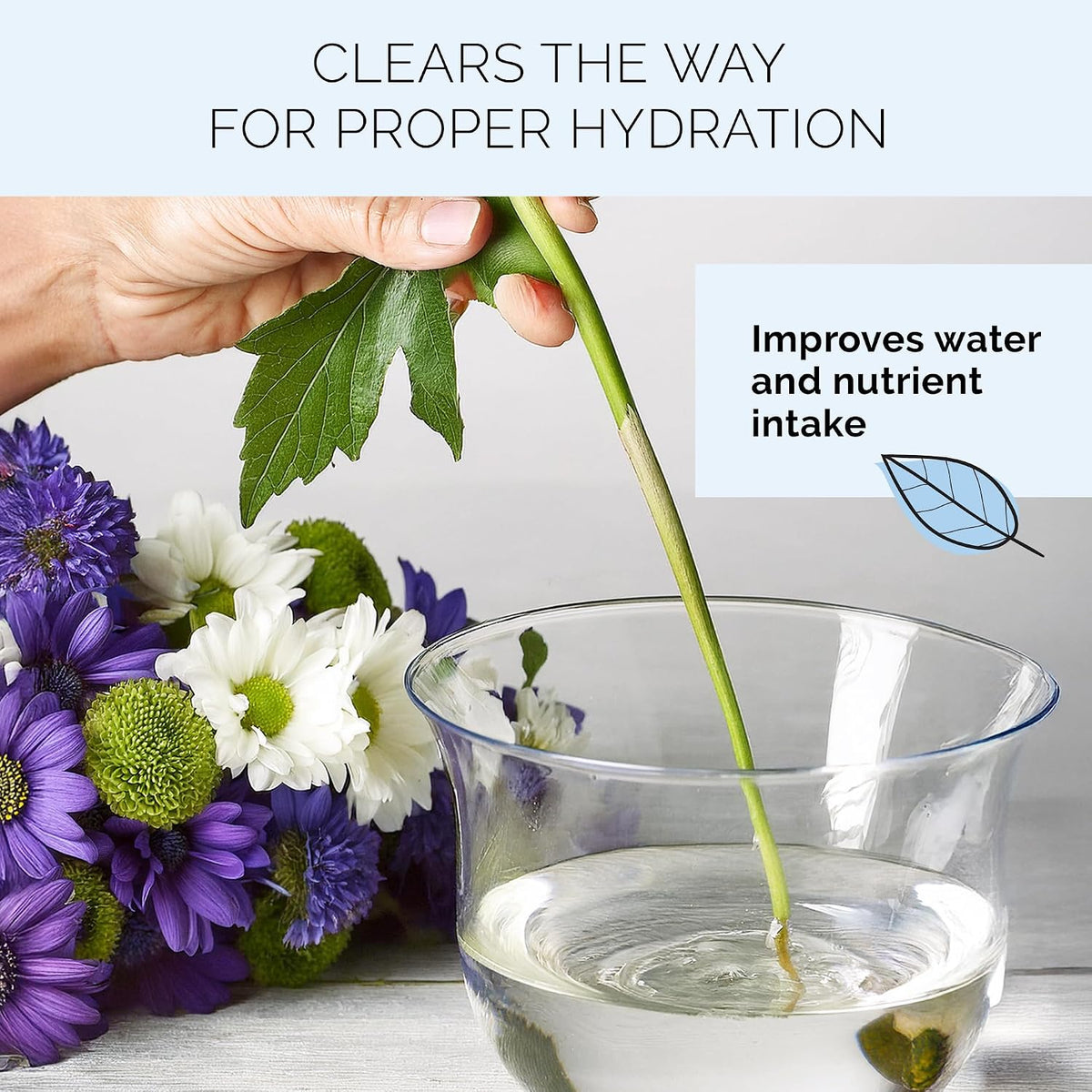 Quick Dip Solution for Boosting Fresh-Cut Flowers Hydration, 8Oz