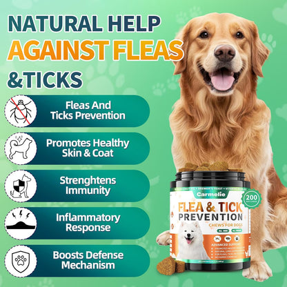 Flea and Tick Prevention for Dogs Chewables, 200 Soft Chews