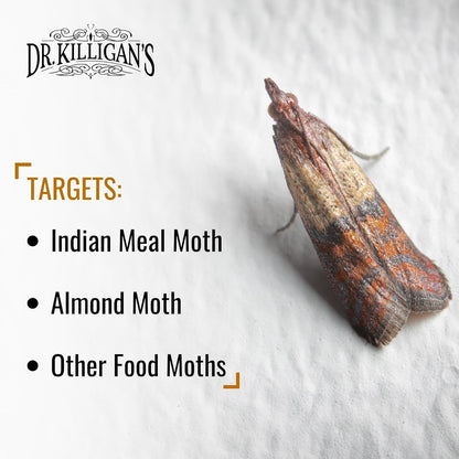 Pantry Moth Traps with Pheromones Prime, 6 Pack, Blue