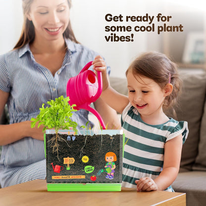 Root Viewer Kit for Kids - Grow Your Own Plant for Boys & Girls Gifts
