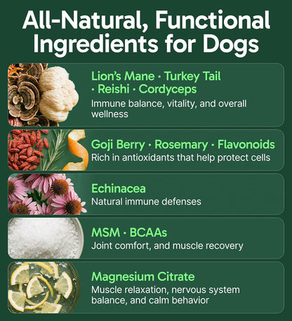 K9 Immune, All-Natural Mushroom Powder for Dogs for Immunity, Digestion, Joints, & Energy, Antioxidant-Rich & Usa-Made, Dog Immune Support with Turkey Tail Mushroom for Dogs, 30 Servings