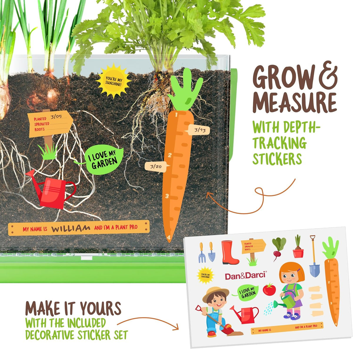 Root Viewer Kit for Kids - Grow Your Own Plant for Boys & Girls Gifts