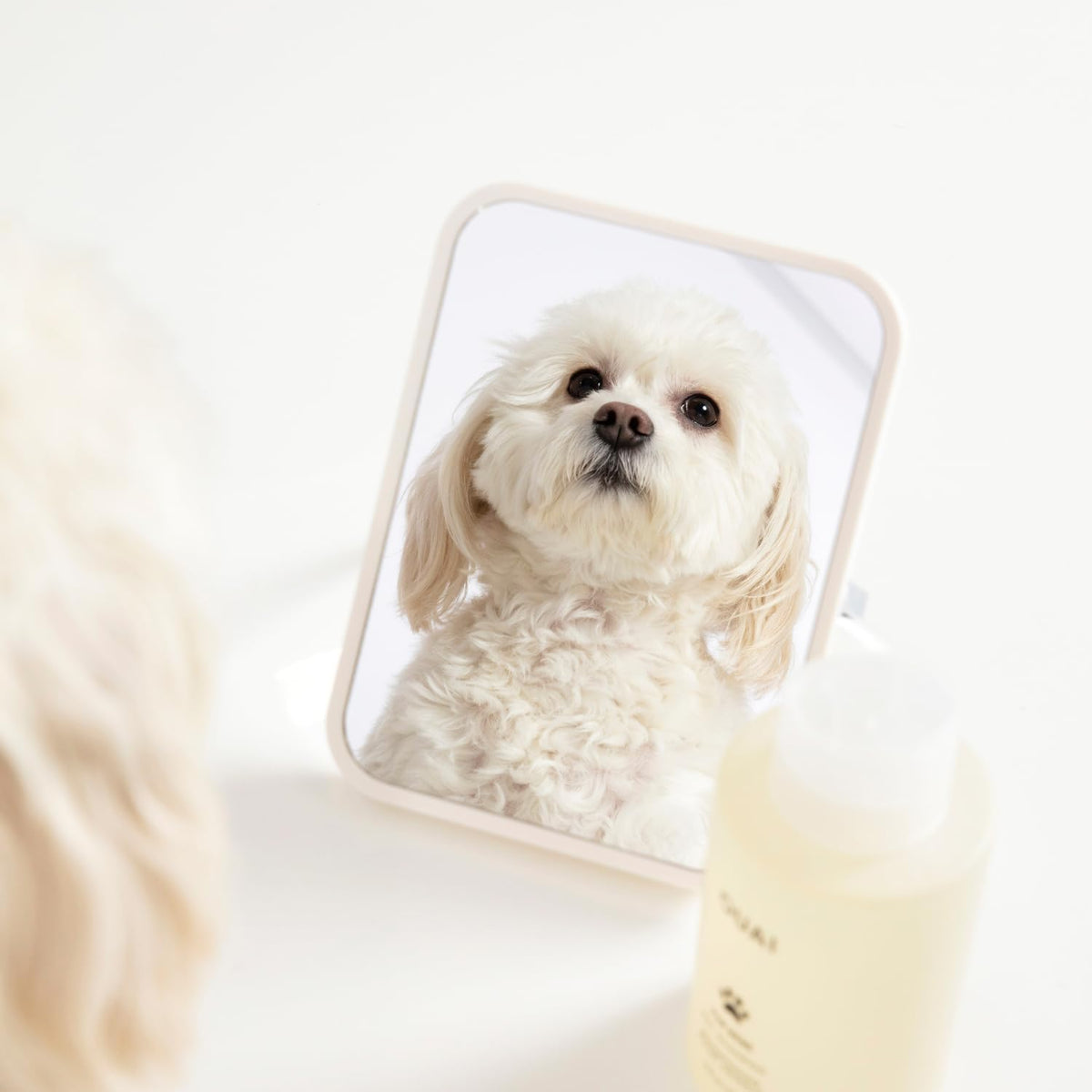 Fur Bébé Pet Shampoo - Mercer Street Scent (16 Fl Oz)