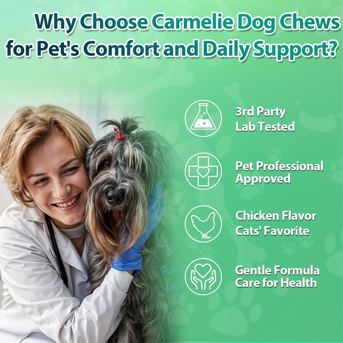 Flea and Tick Prevention for Dogs Chewables, 200 Soft Chews