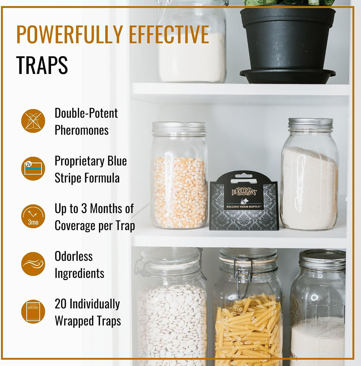 Pantry Moth Traps with Pheromones Prime, 20 Pack, Black
