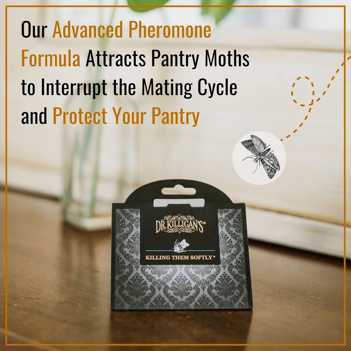 Pantry Moth Traps with Pheromones Prime, 20 Pack, Black