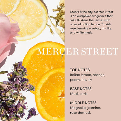 Fur Bébé Pet Shampoo - Mercer Street Scent (16 Fl Oz)