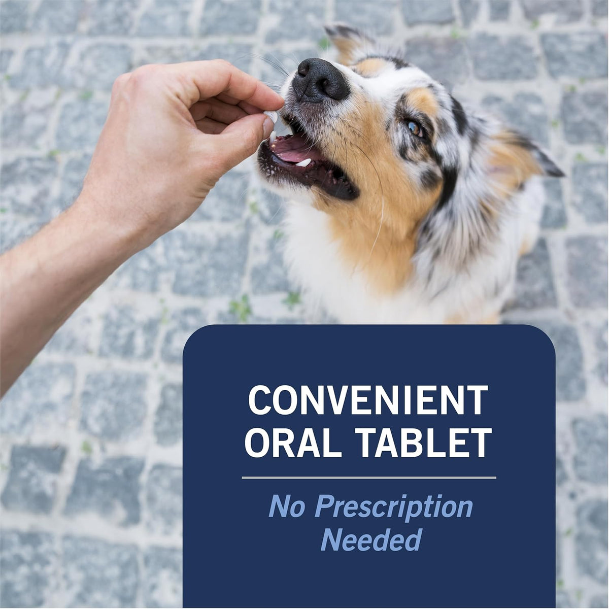 CAPACTION (Nitenpyram) Oral Flea Treatment for Dogs, Fast Acting Tablets Start Killing in 30 Minutes, Small Dog Flea Treatment 2-25 Lbs, 6 Doses