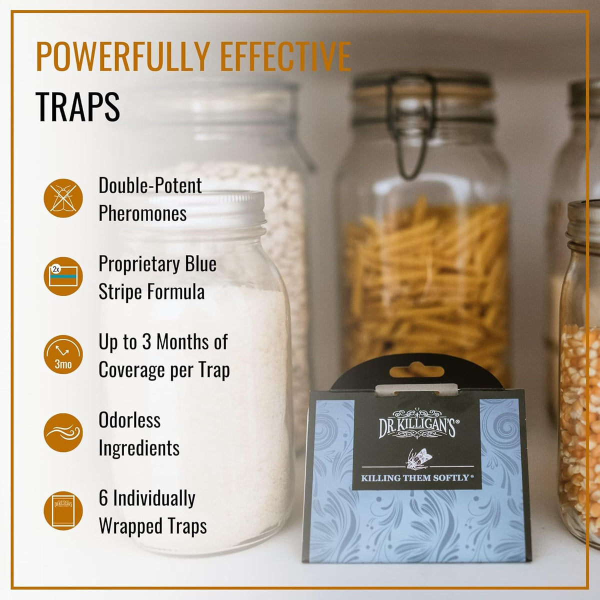 Pantry Moth Traps with Pheromones Prime, 6 Pack, Blue