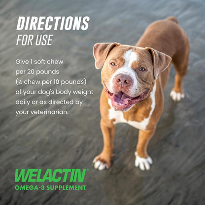 Nutramax Welactin Omega-3 Fish Oil Supplement for Dogs, Soft Chews, 60Ct