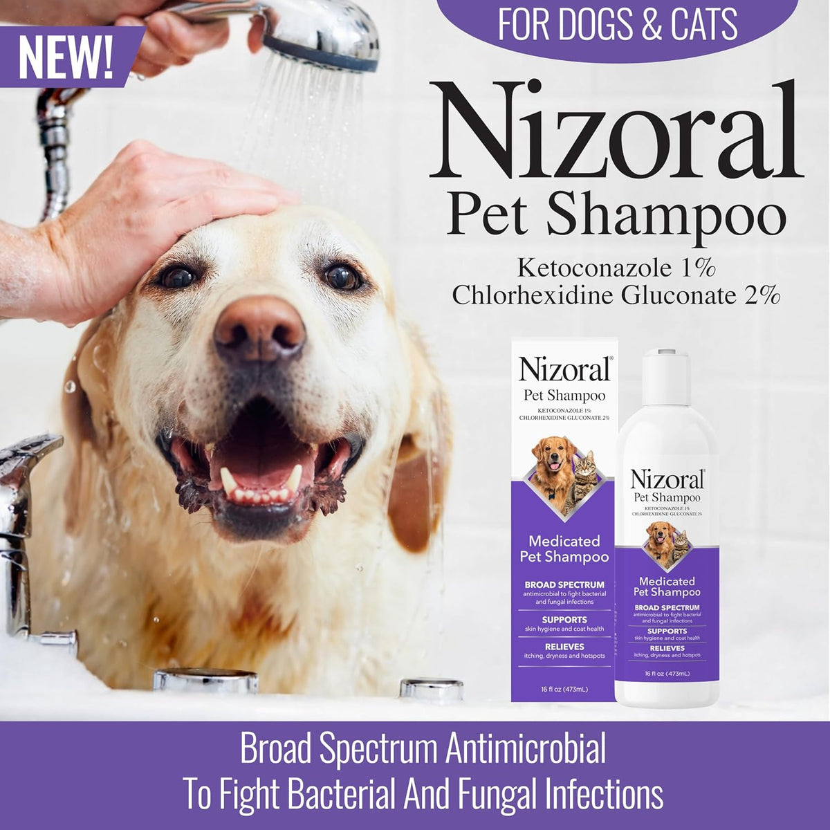 Ketoconazole Pet Shampoo, 16 Oz, Chlorhexidine, Dogs & Cats