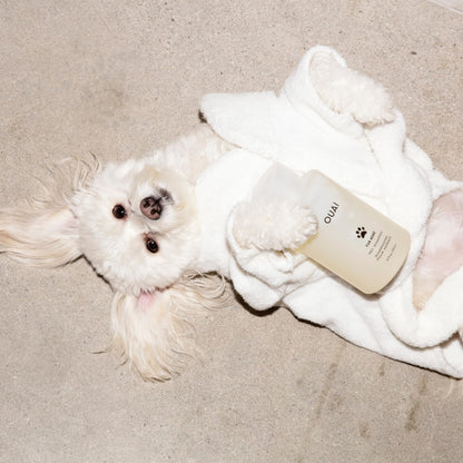 Fur Bébé Pet Shampoo - Mercer Street Scent (16 Fl Oz)