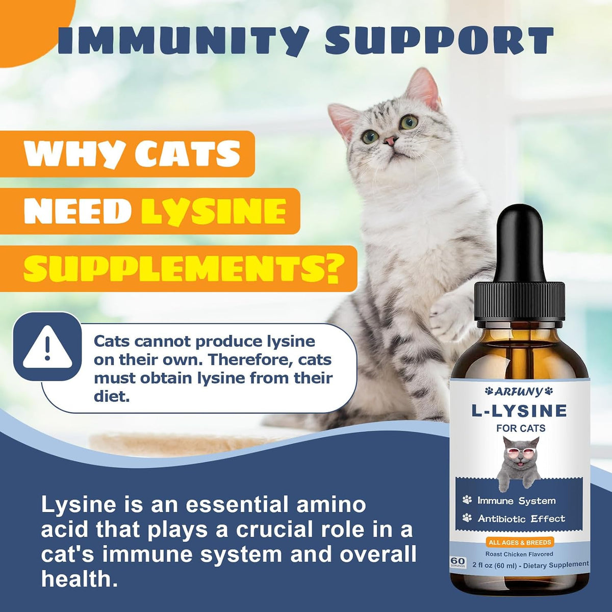 L-Lysine for Cats, Immune, Respiratory, Eye Function Support, 60ML