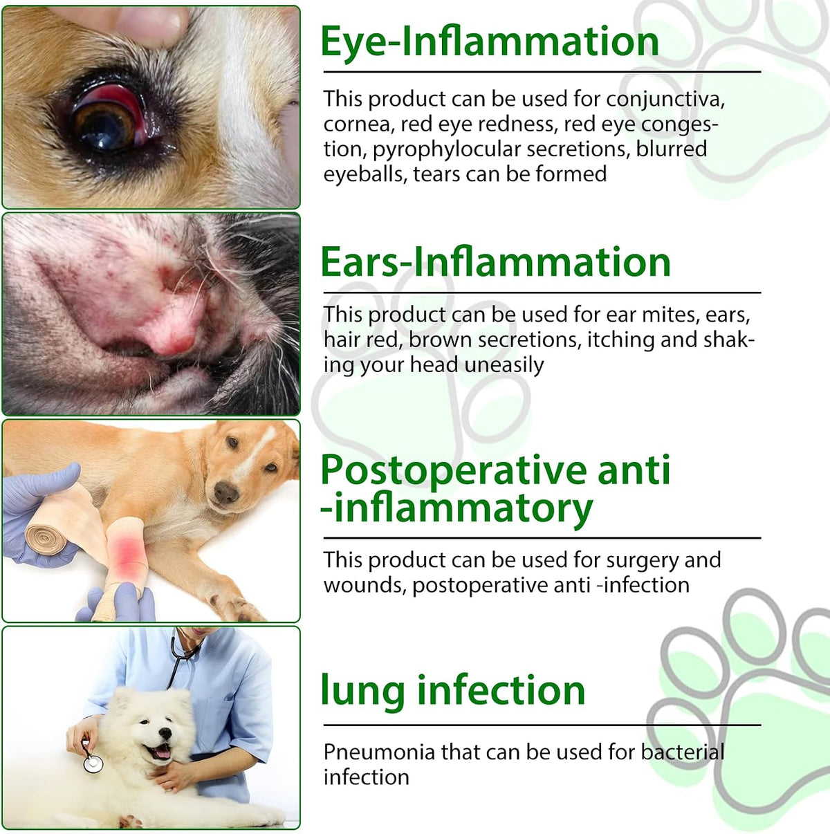 Dog Antibiotics, Natural Antibiotics for Dogs, Dog Multivitamin Herbal Supplements 60Ml