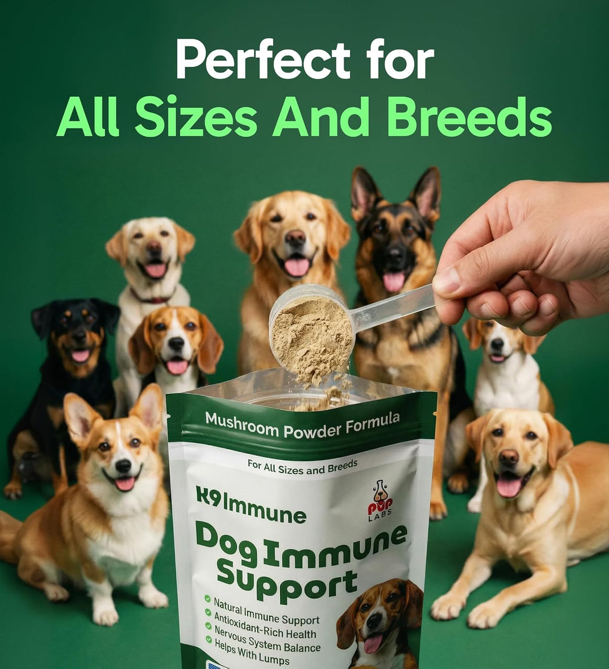 K9 Immune, All-Natural Mushroom Powder for Dogs for Immunity, Digestion, Joints, & Energy, Antioxidant-Rich & Usa-Made, Dog Immune Support with Turkey Tail Mushroom for Dogs, 30 Servings