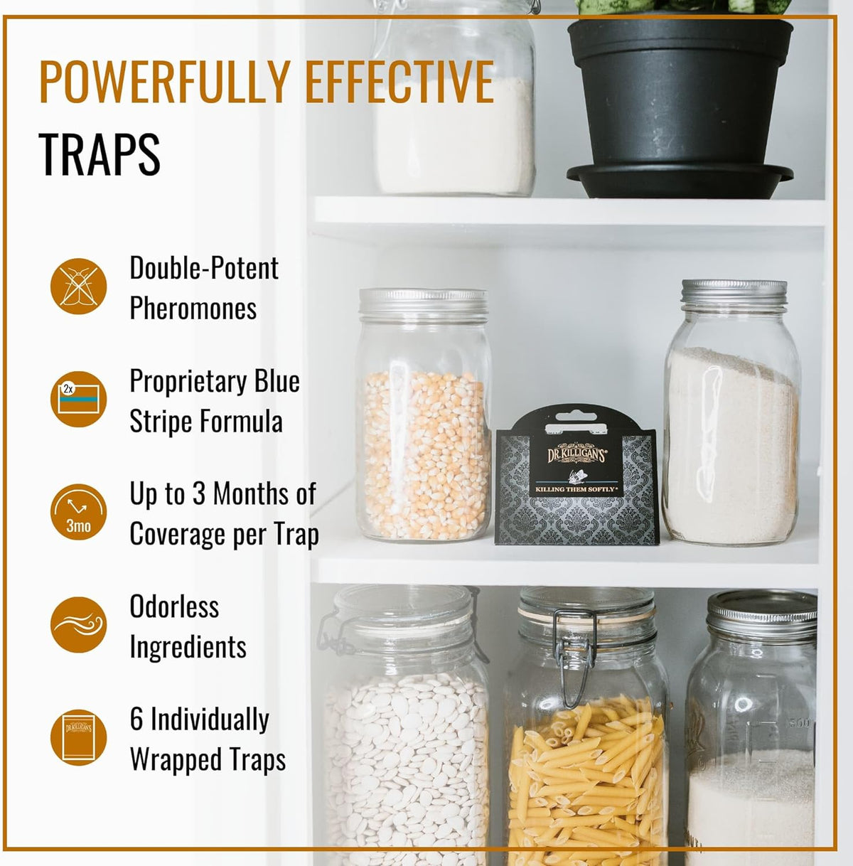 Pantry Moth Traps with Pheromones Prime, 6 Pack, Black